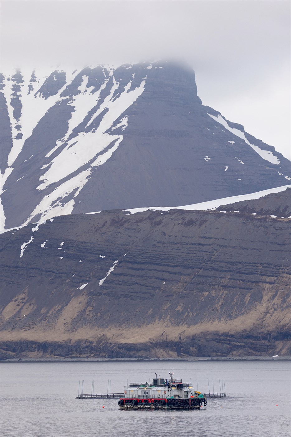 Eldisleyfin: Eign eða leiga?