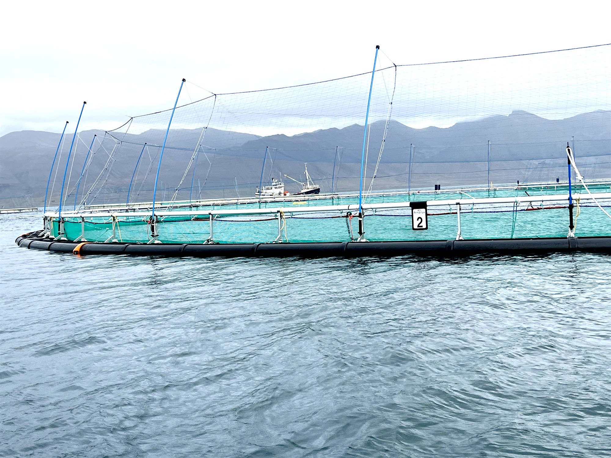 Laxalús, notkun lyfja og umhverfisáhrif