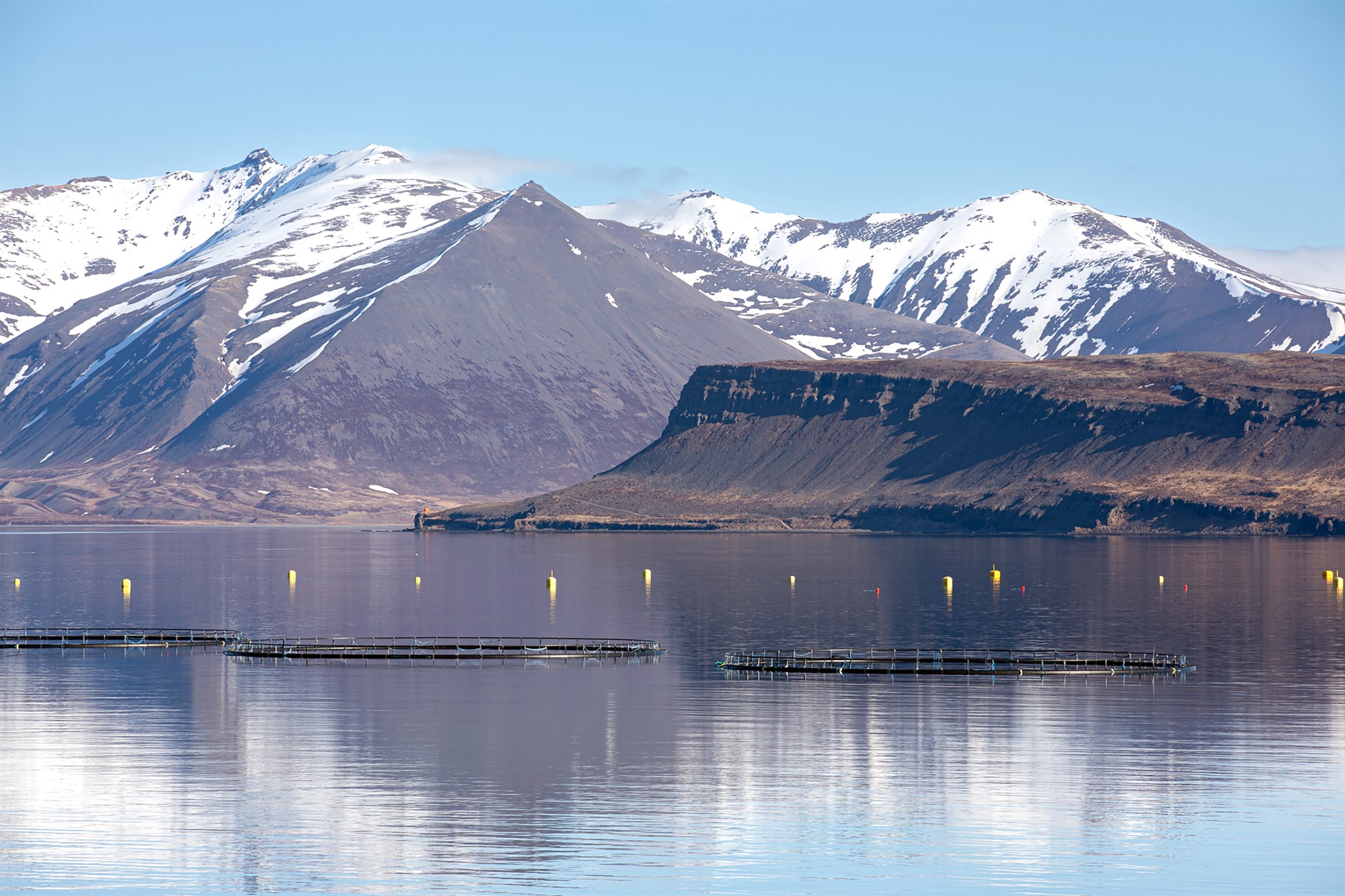 Áhættumatið og fjárhagslegur ávinningur