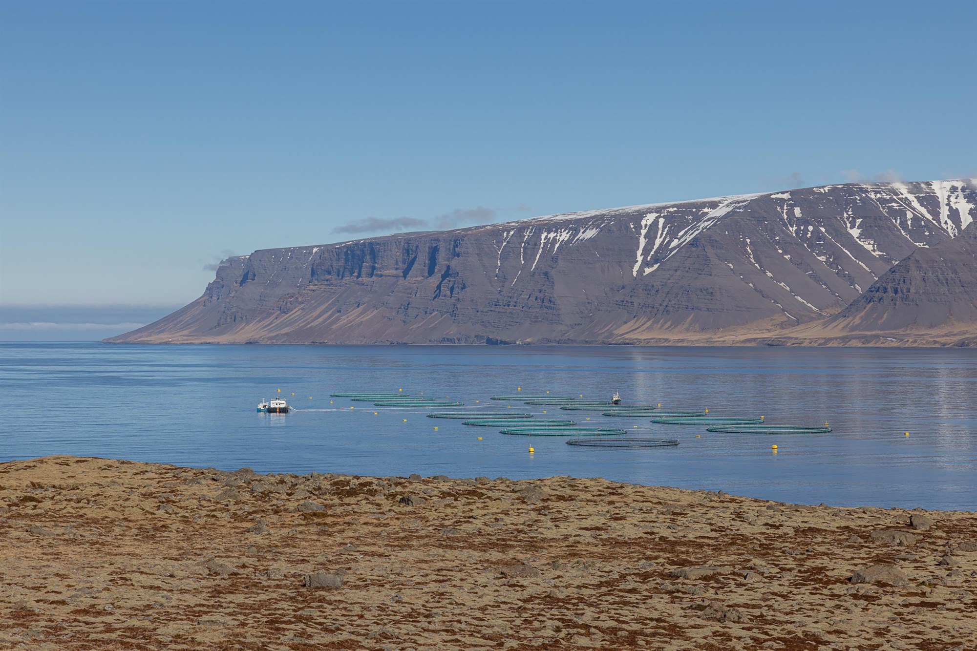 Áhættumatið og annarleg sjónarmið