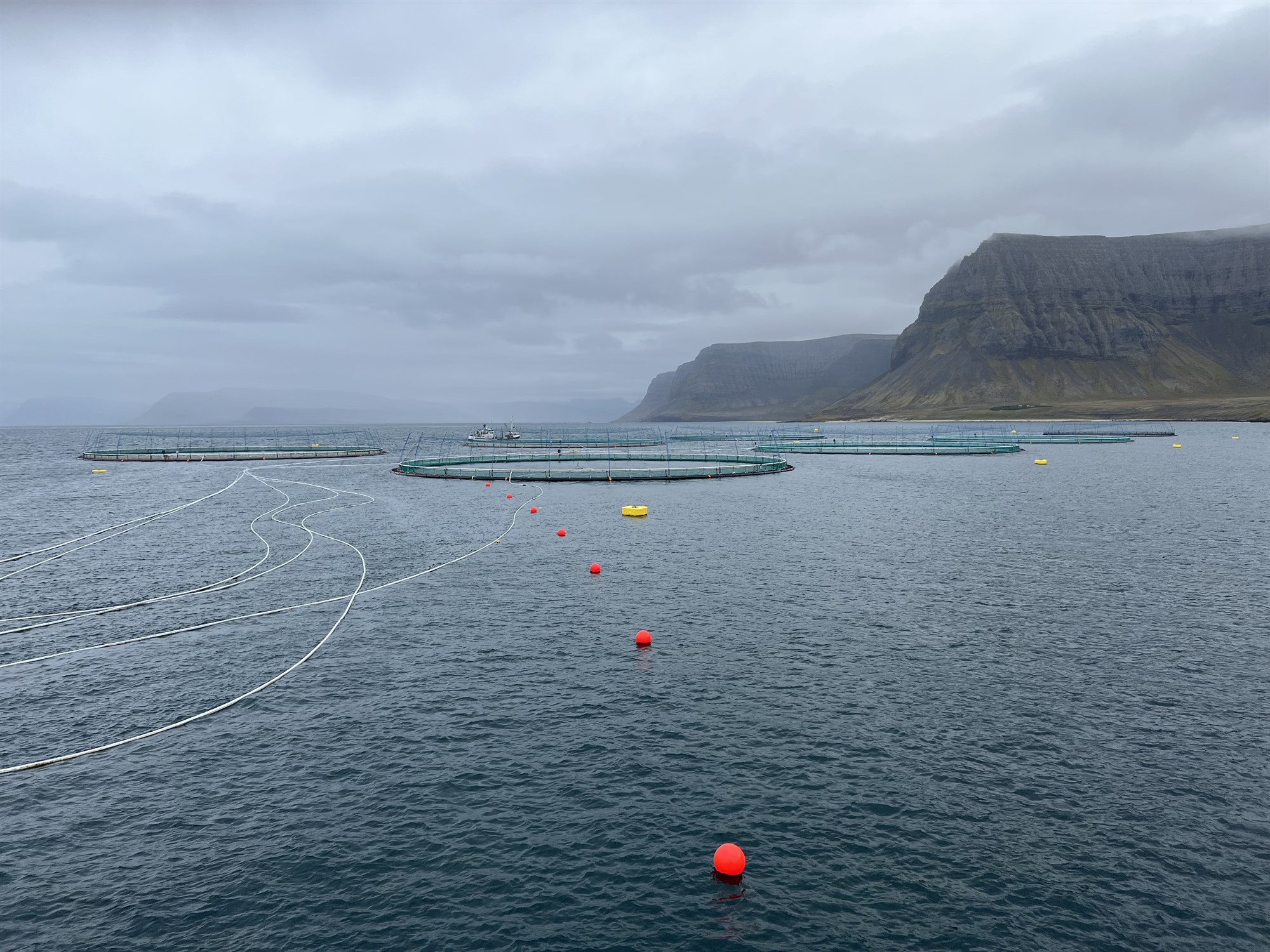 G&#225;tu ekki gert grein fyrir r&#250;mlega 81.000 l&#246;xum