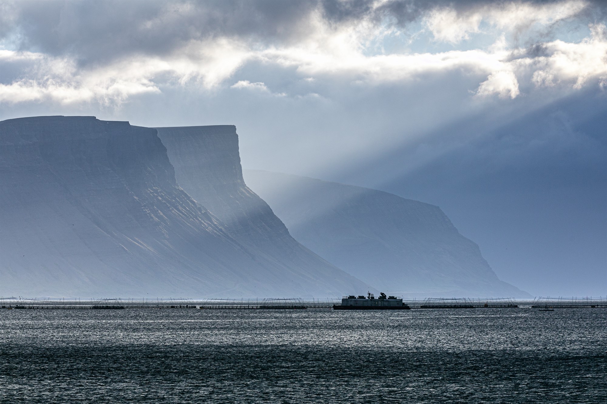 Lög um fiskeldi og heilbrigðis- og skipulagsmál