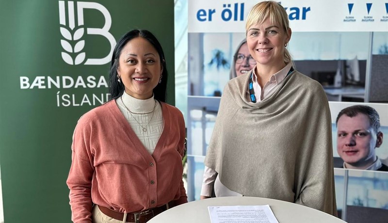 Félagsmenn tryggðir