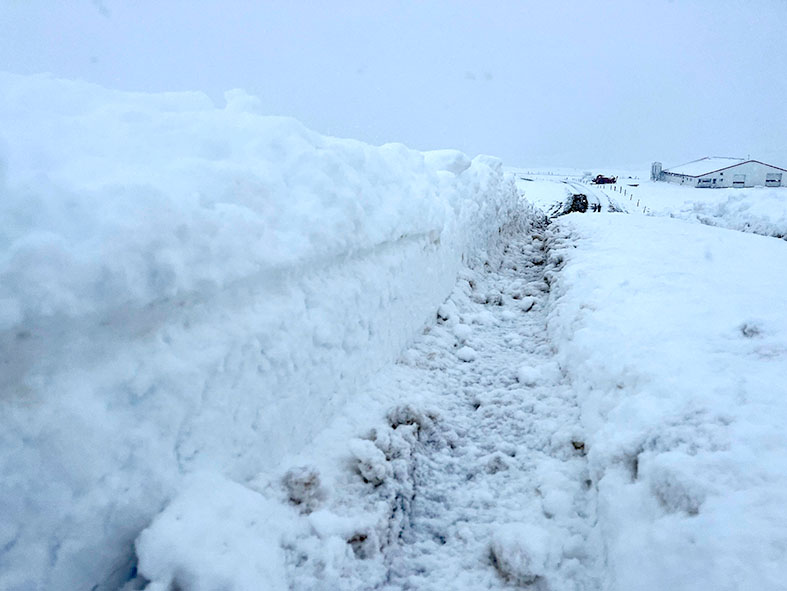 Viðbragðshópur vegna kuldatíðar