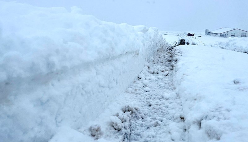 Viðbragðshópur vegna kuldatíðar