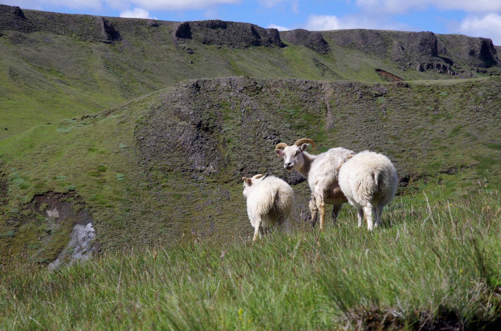 Núverandi staða varnarhólfa