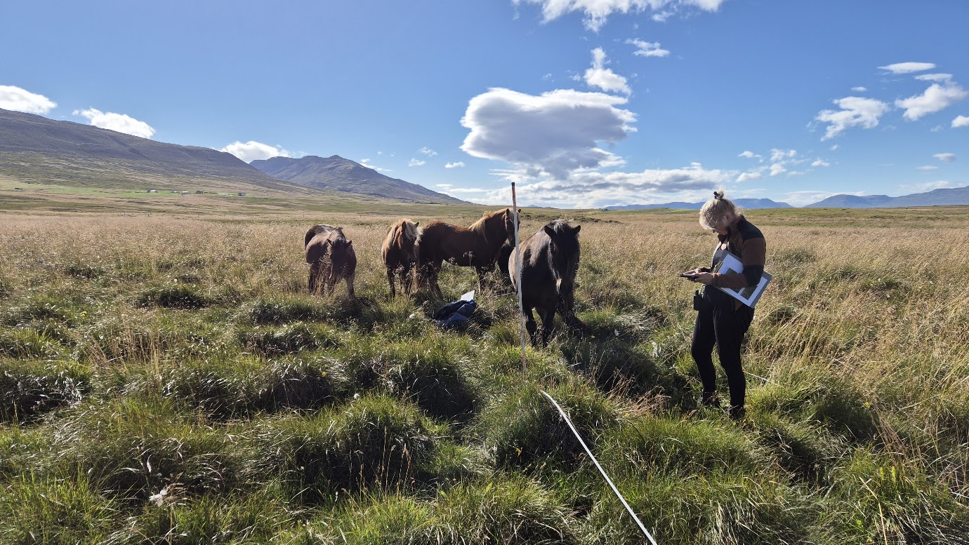 Úttekt á högum 2025 sýnir jákvæðar breytingar