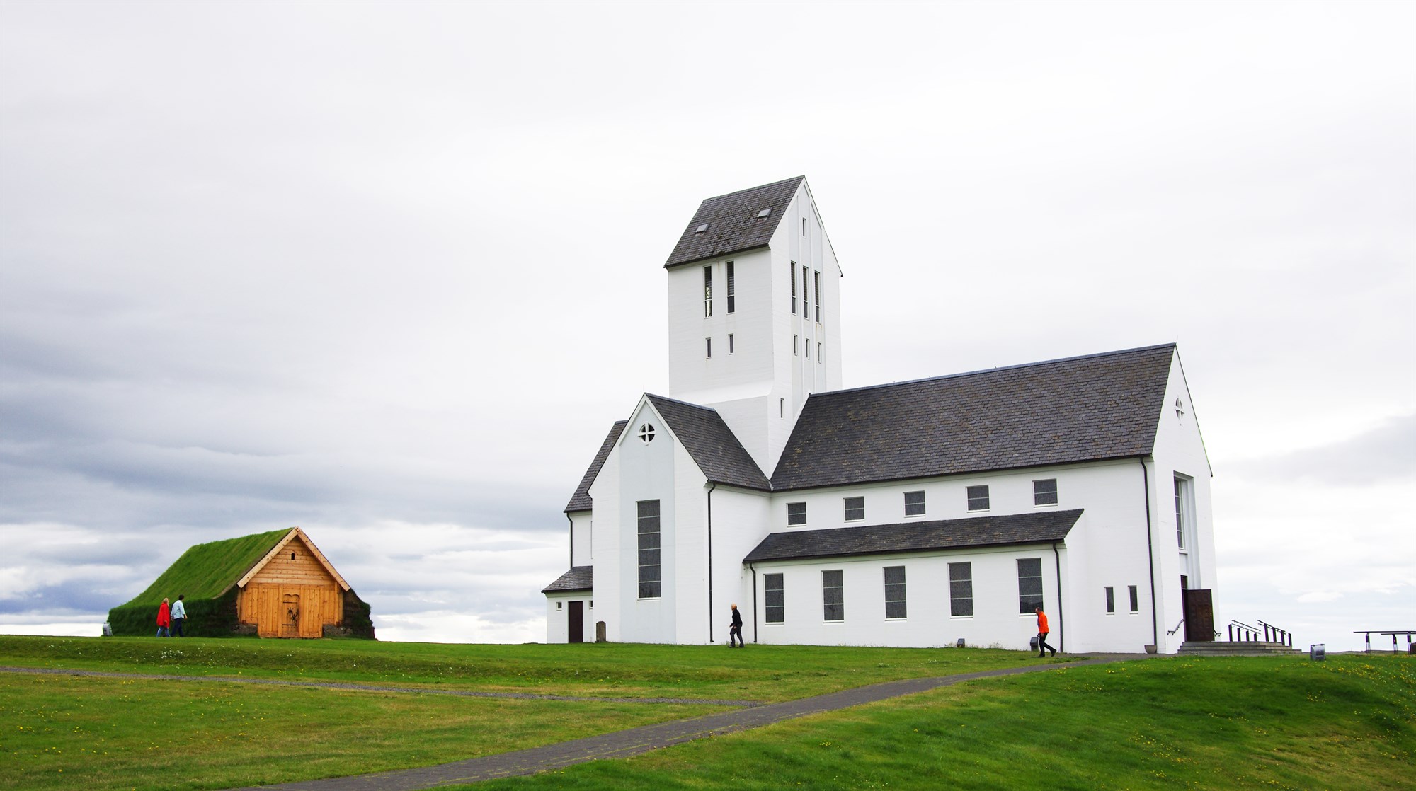 Kolviður plantar 283 þúsund plöntum í Skálholti