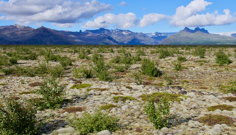 Að græða „fjóshaug mannkyns“