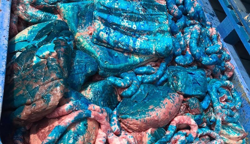 Umfangsmiklar aðgerðir gegn matvælasvindli