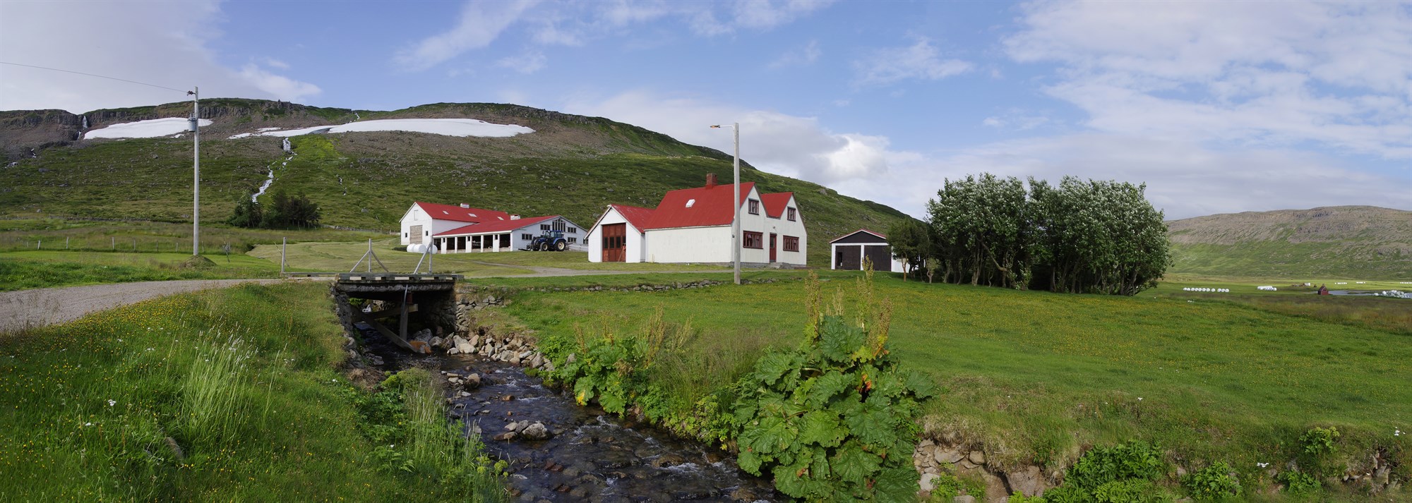 Undirbýr smalamennsku og framboð til setu á Alþingi þó orðinn sé áttræður