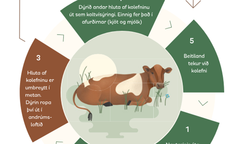 Gróðurhúsalofttegundir í landbúnaði og metan