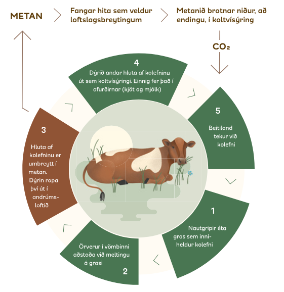 Gróðurhúsalofttegundir í landbúnaði og metan