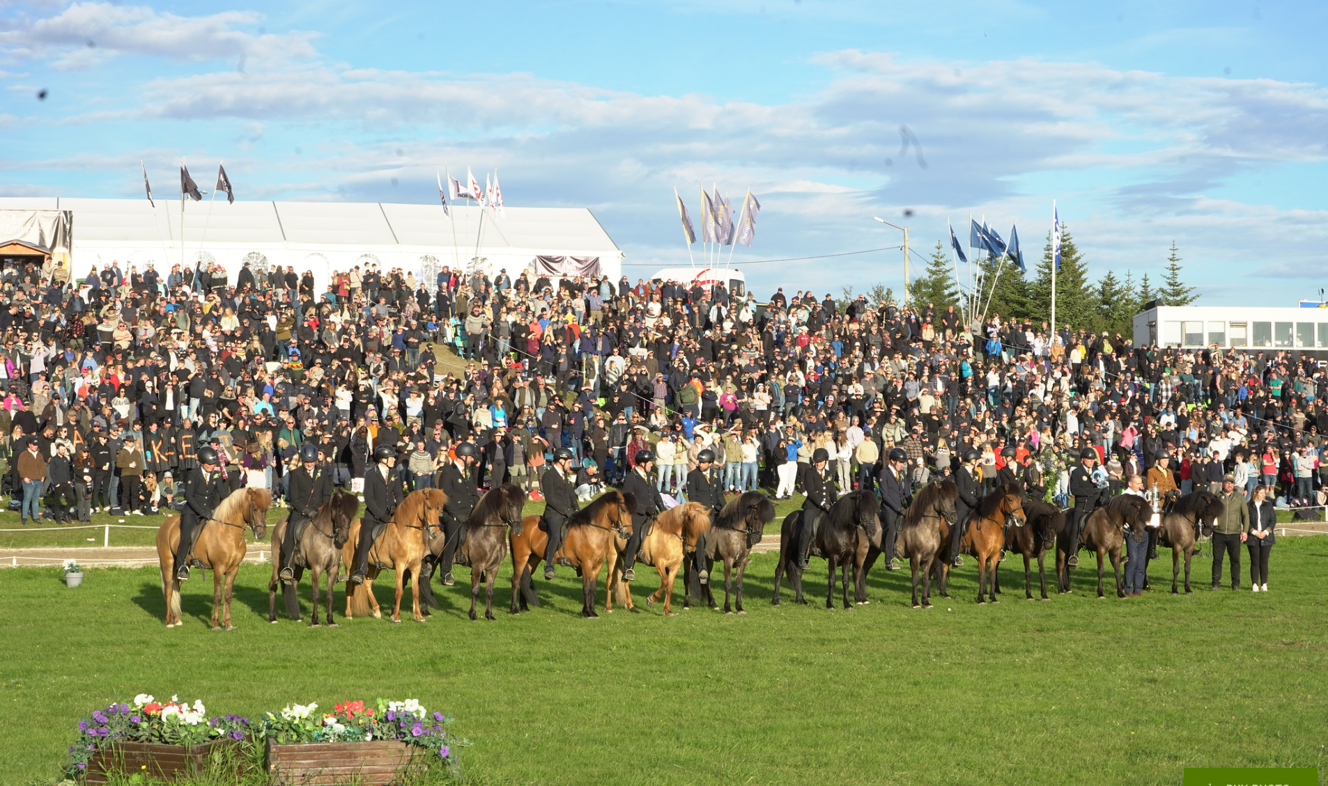 Afkvæmahestar á Landsmóti 2024