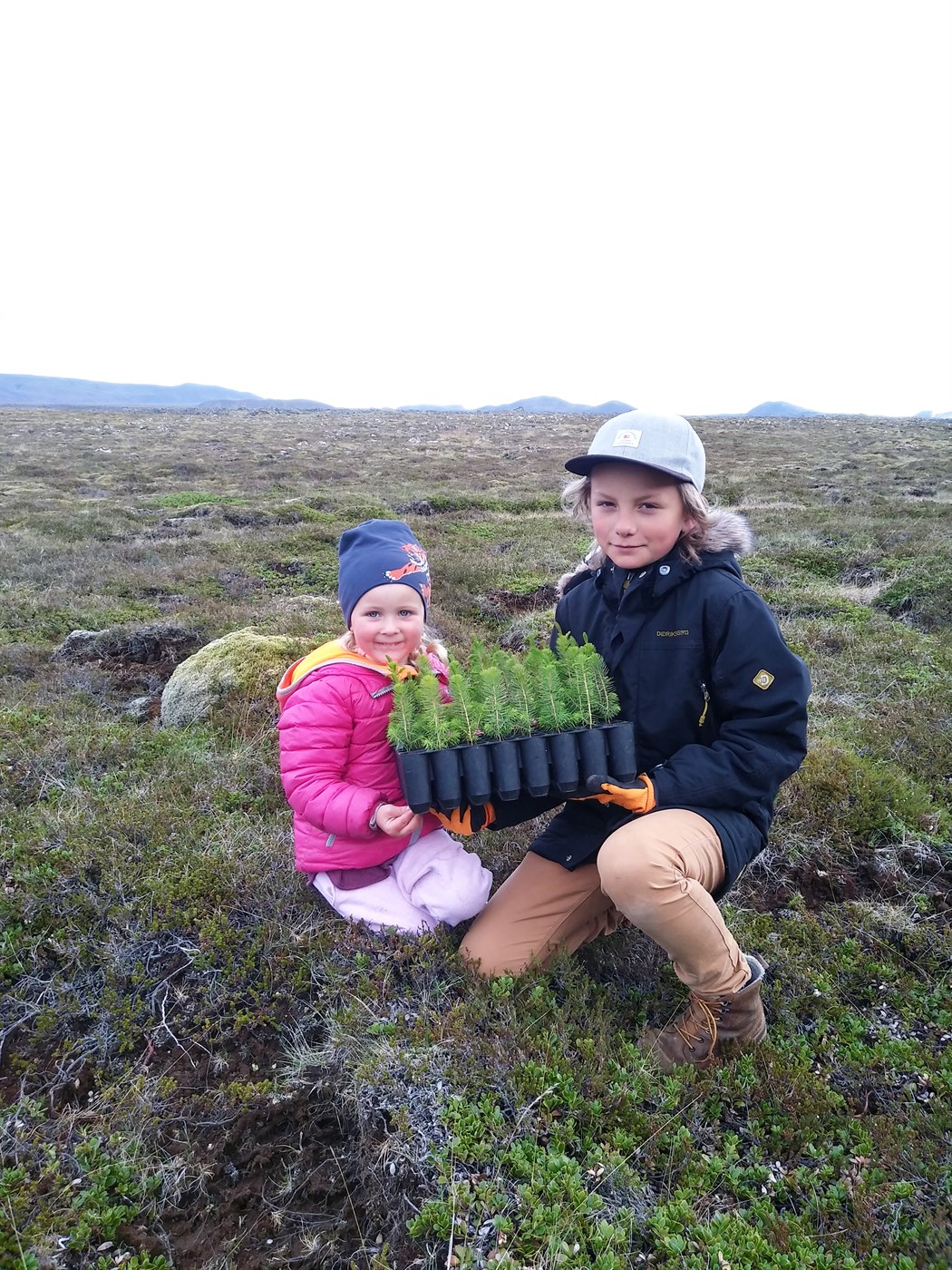 Landgræðslu- og skógræktarfélagið Skógfell hlaut umhverfisviðurkenningu