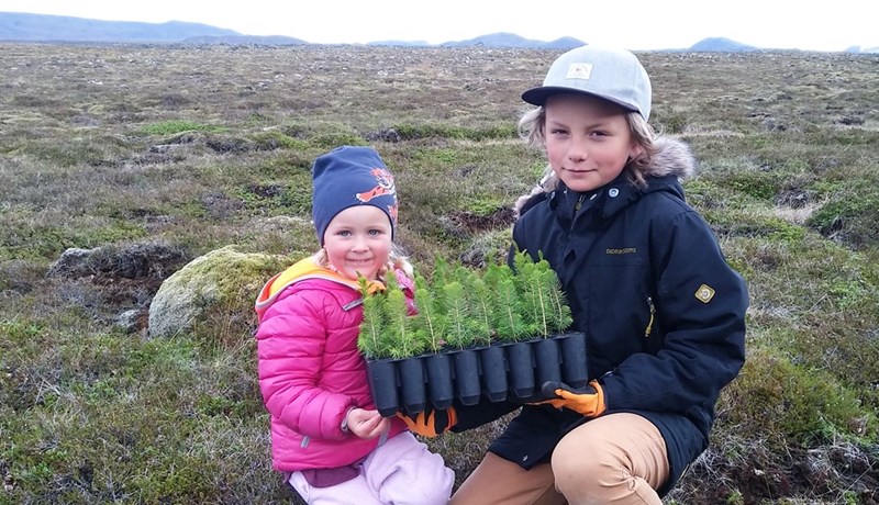 Landgræðslu- og skógræktarfélagið Skógfell hlaut umhverfisviðurkenningu