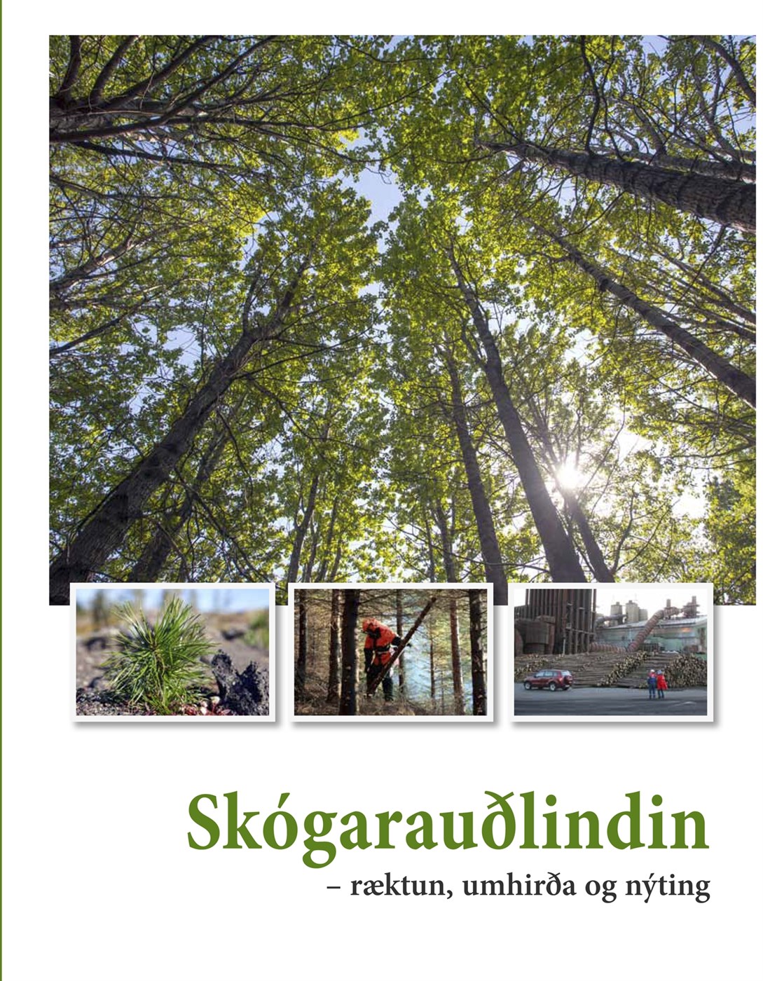 Leshópar – Jafningjafræðsla