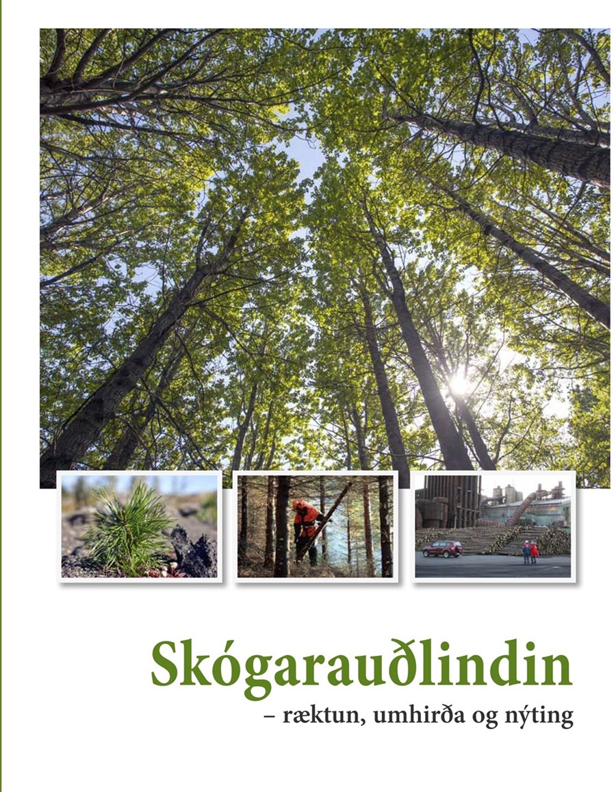 Leshópar – Jafningjafræðsla