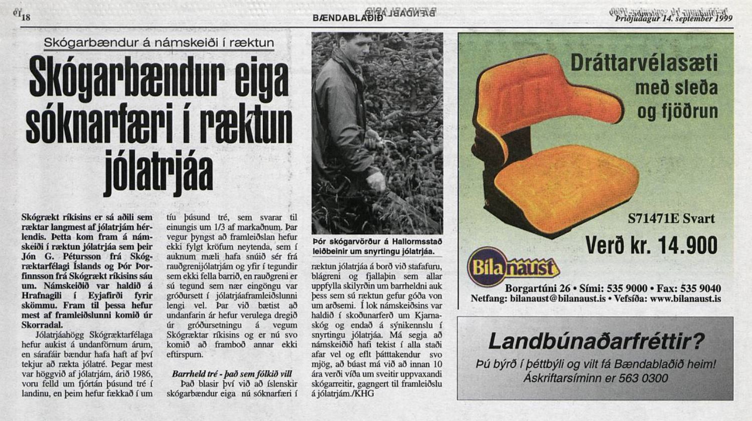 Sóknarfæri skógarbænda í ræktun jólatrjáa