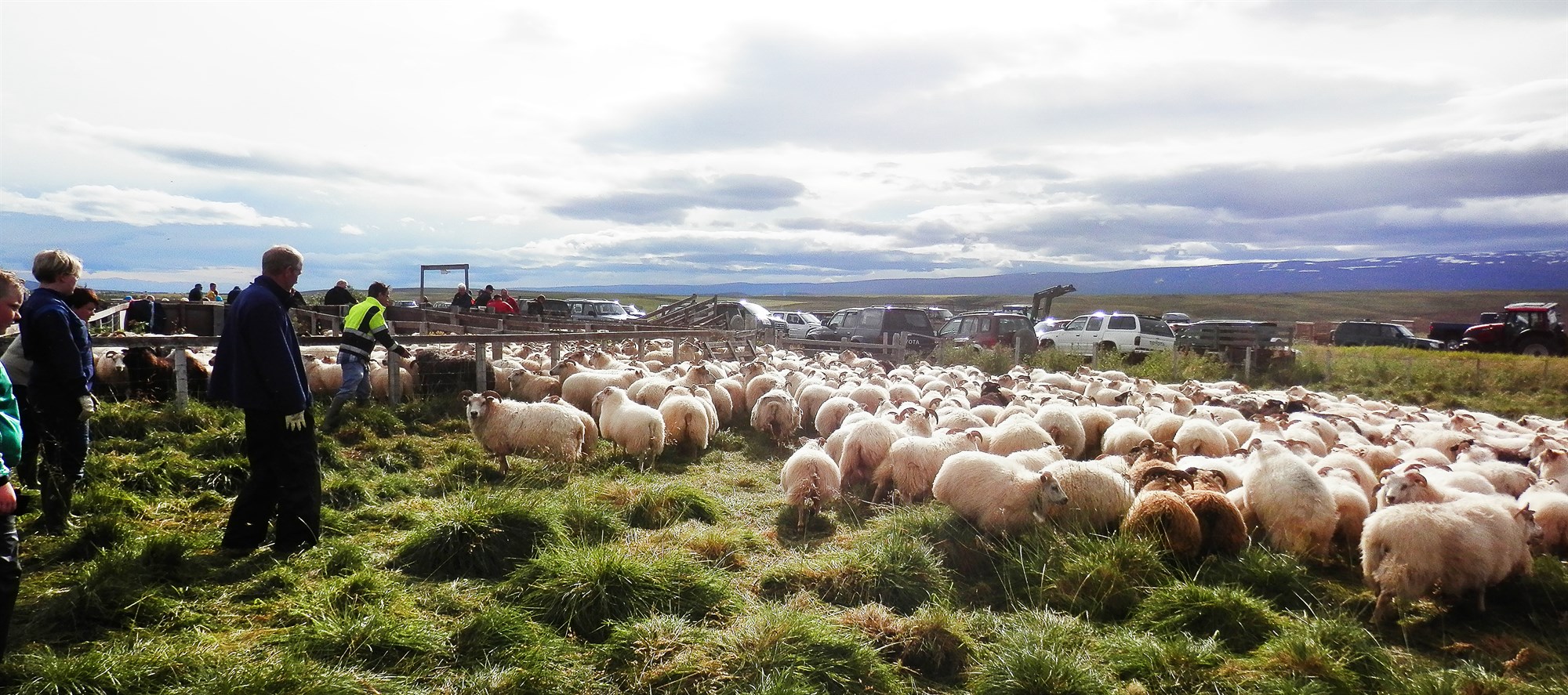 Fj&#246;ldatakmarkanir vegna gangna og r&#233;tta mi&#240;a&#240;ar vi&#240; 300 manns