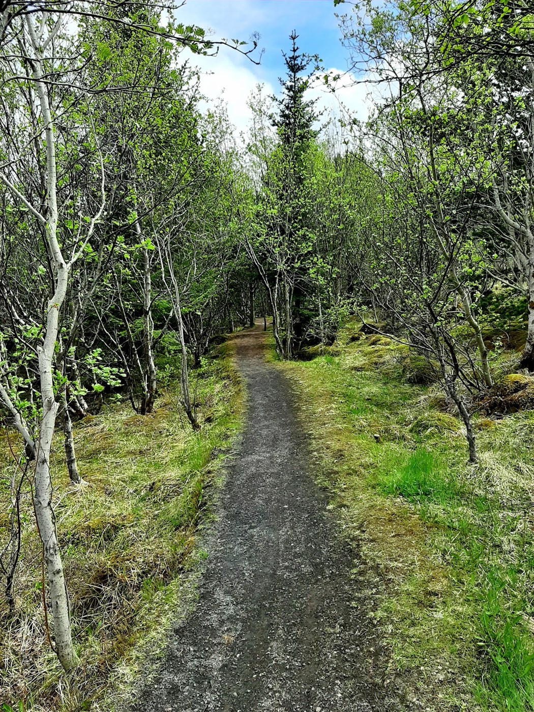 Lauf sortnaði fyrir norðan