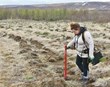 Skógrækt – er hún rétta framlag Íslands til loftslagsmála?