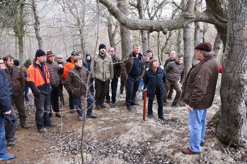 Fjöldi verkefna er í burðarliðnum