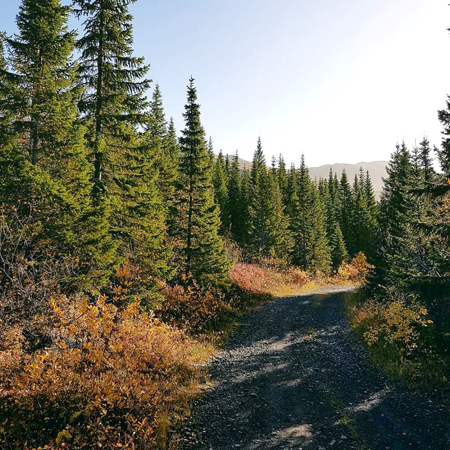 300 milljóna uppgræðsla