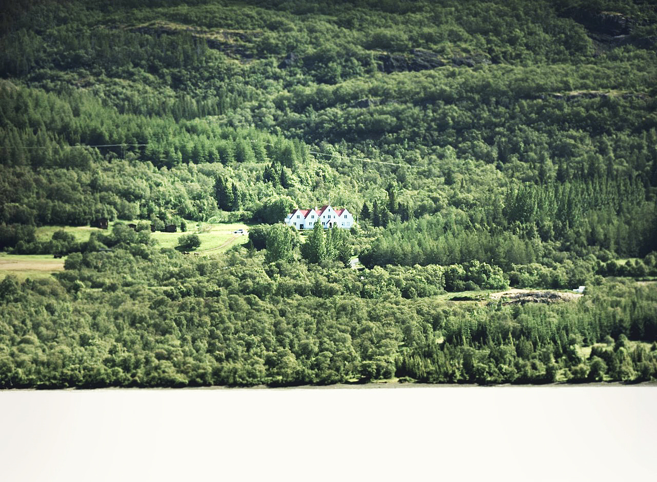 Skólinn í skóginum