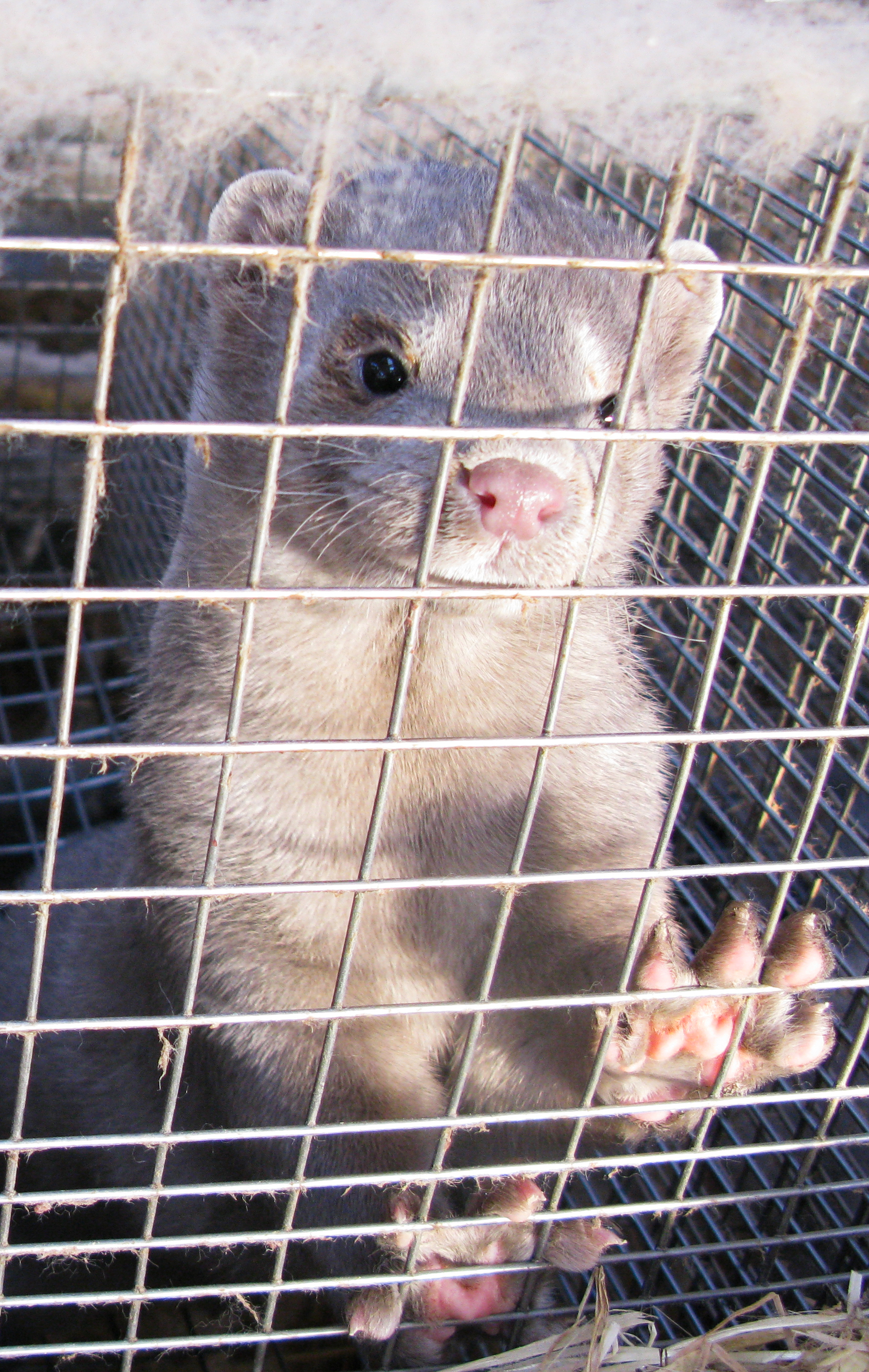 Vottuð framleiðsla og nýting aukaafurða