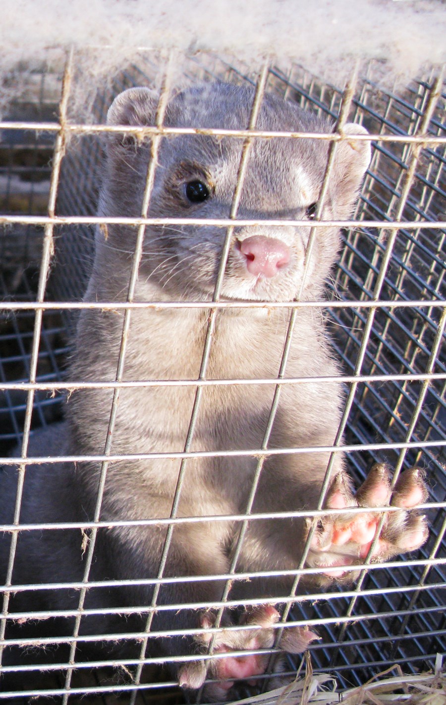 Vottuð framleiðsla og nýting aukaafurða