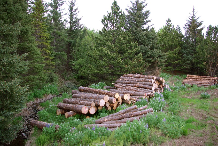 Úr Skorradal. Mynd H.Kr.