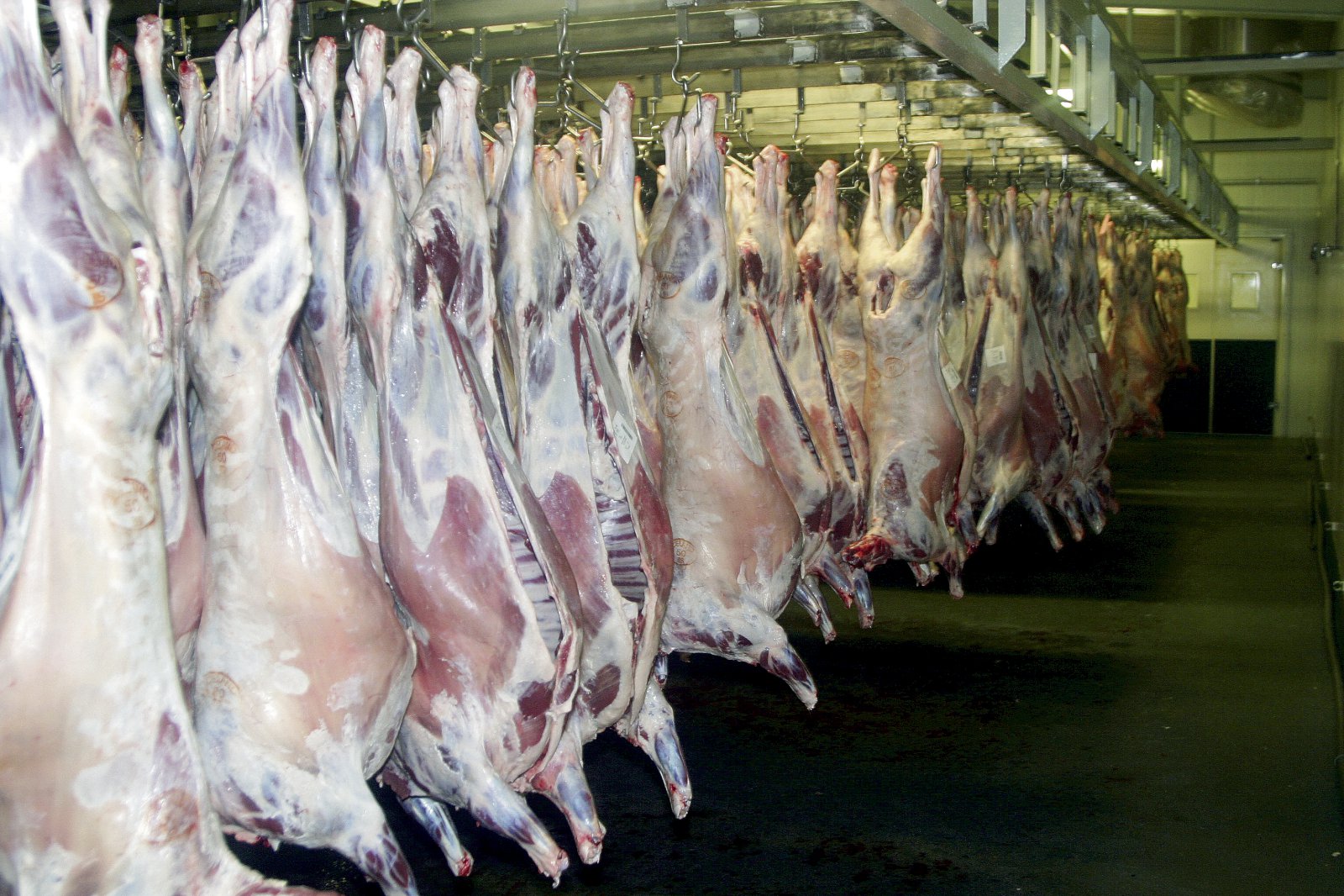 Telja eðlilegt að frumframleiðendur fái meira í sinn hlut af útsöluverði