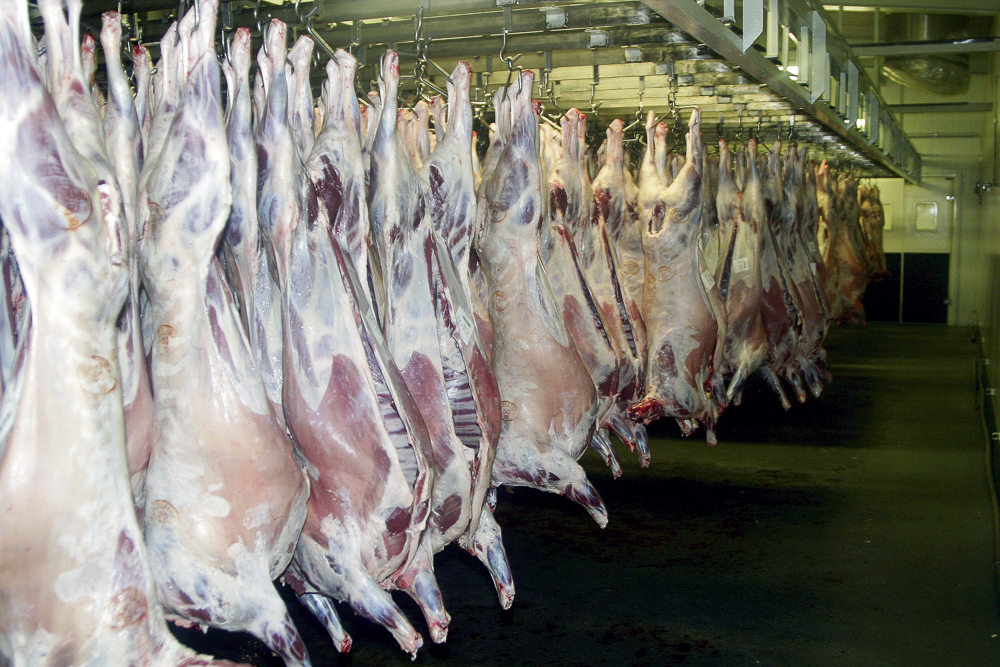 Afurðaverðshækkanir fyrir dilkakjöt