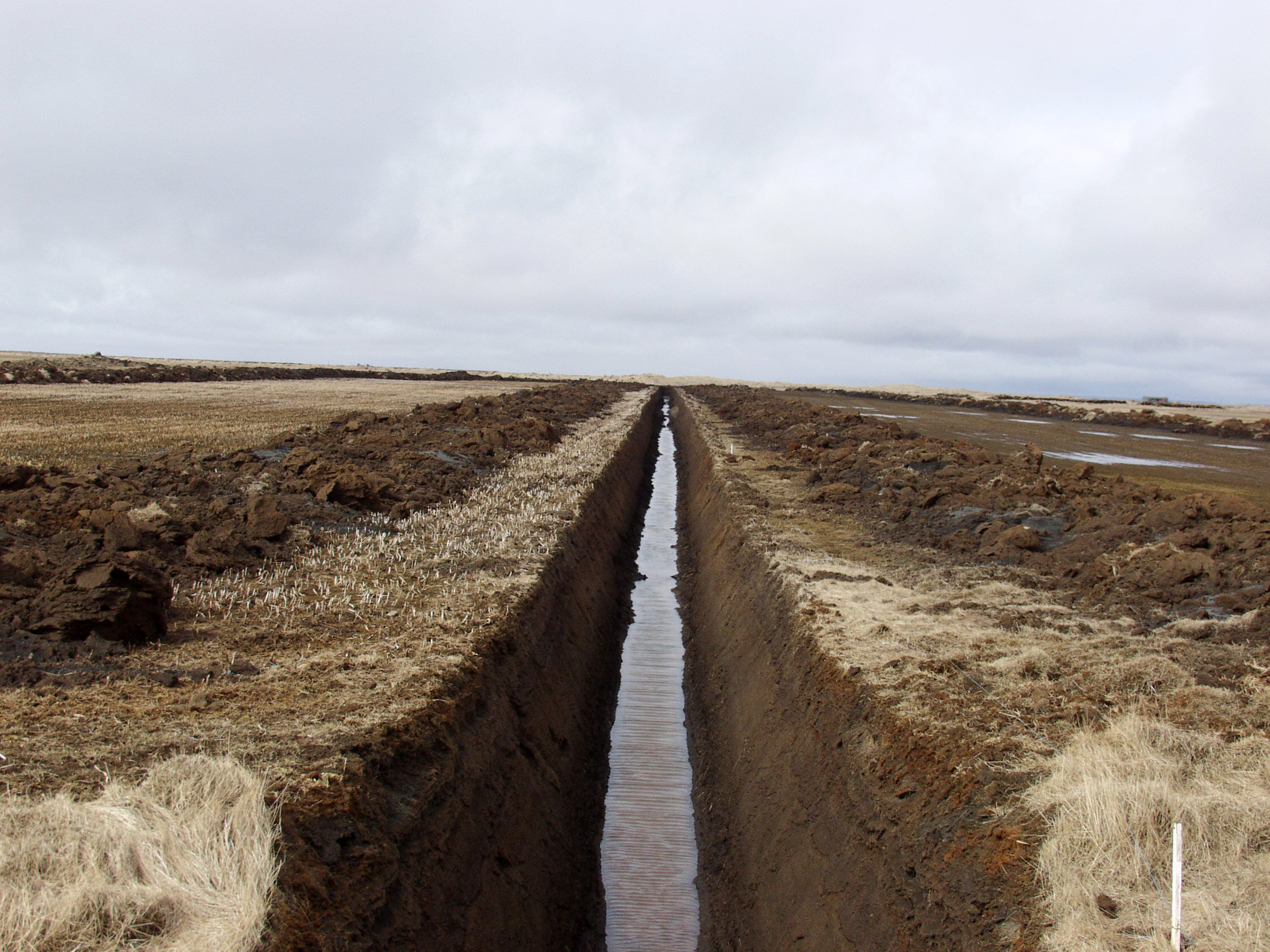 Verkefnið auðveldar Íslendingum að  standa við alþjóðlegar skuldbindingar