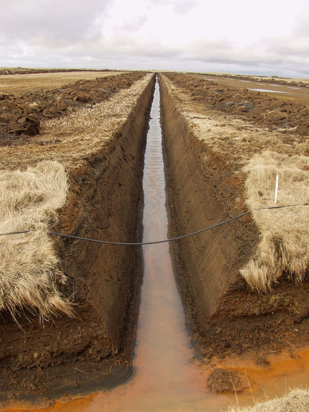 Að elska og hata skurði