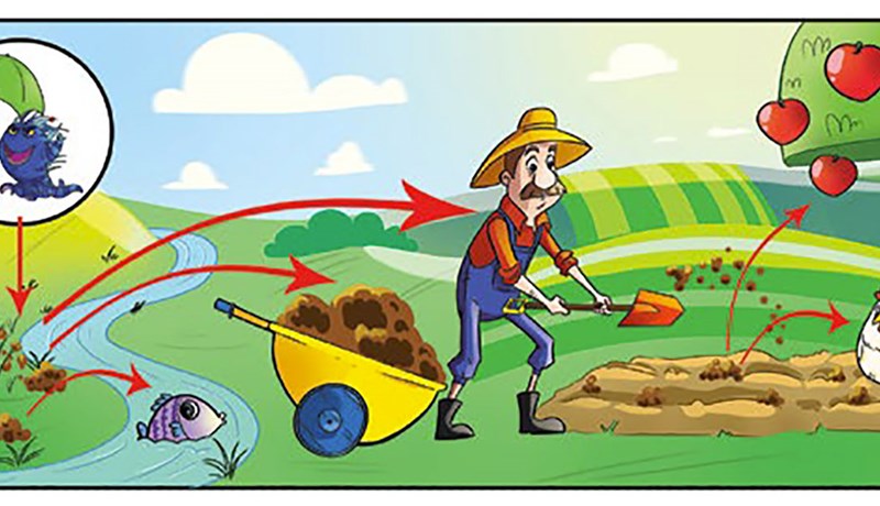 Reglulegt eftirlit og aukin fræðsla