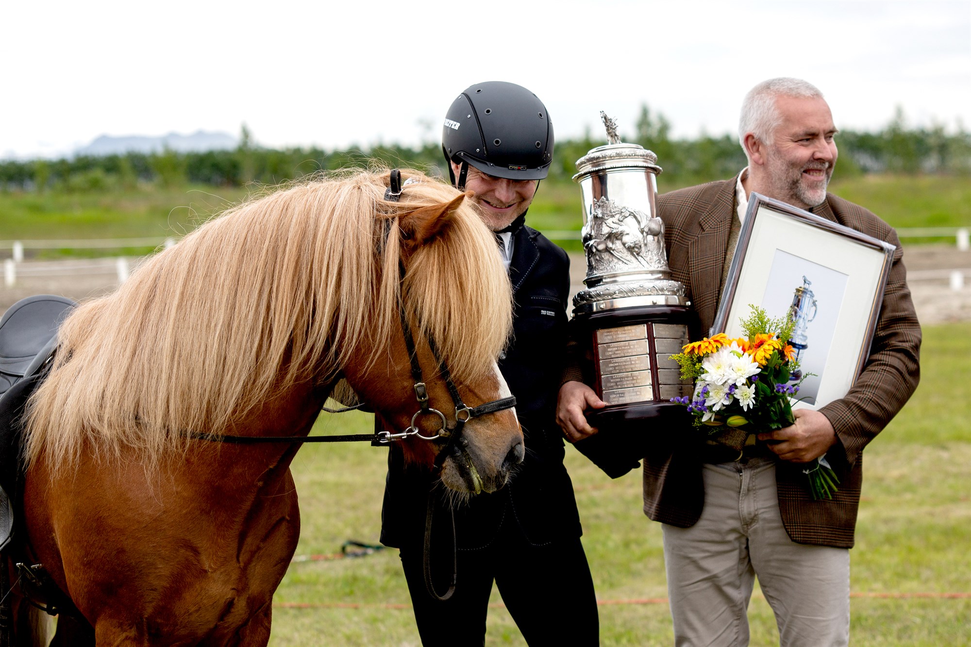 Kynbótamat hrossa og hryssur til afkvæmaverðlauna haustið 2022