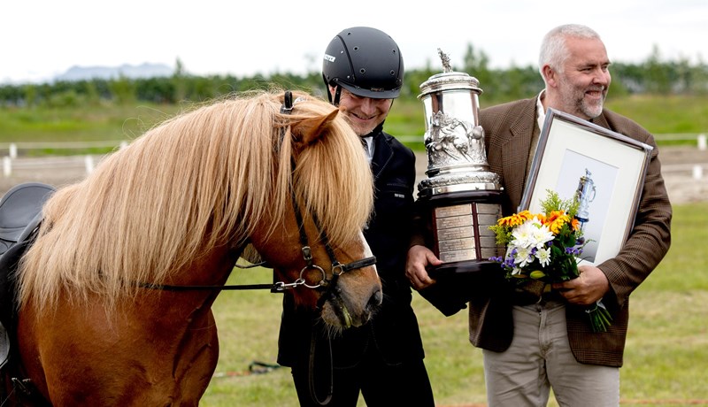 Kynbótamat hrossa og hryssur til afkvæmaverðlauna haustið 2022