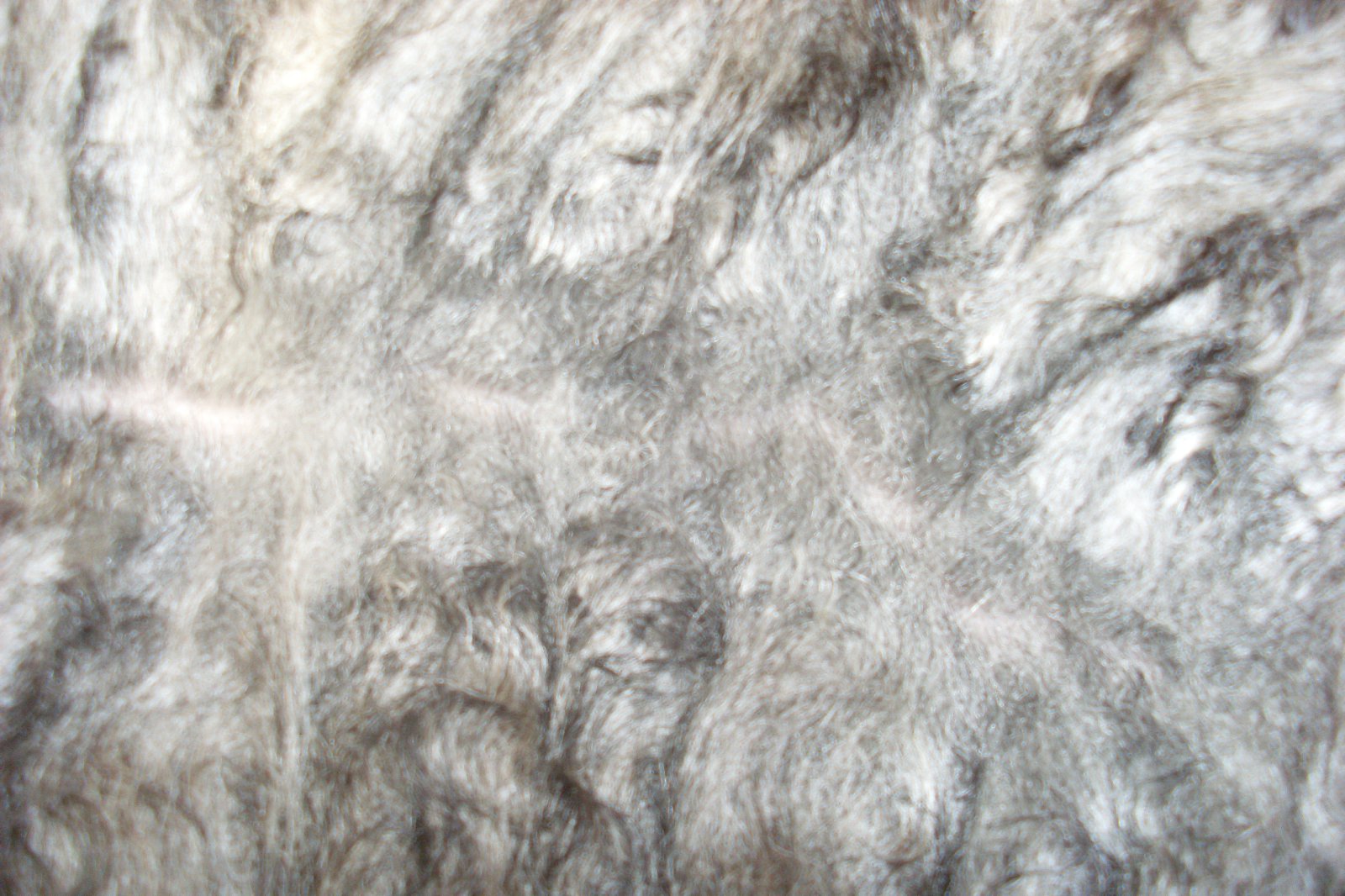 Feldfjárrækt - skilgreiningar og áherslur