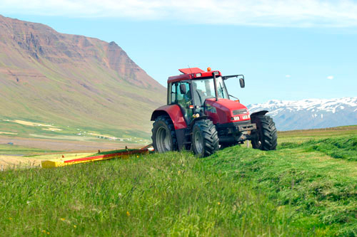 Notagildi upplýsinga um áburðargjöf og uppskeru