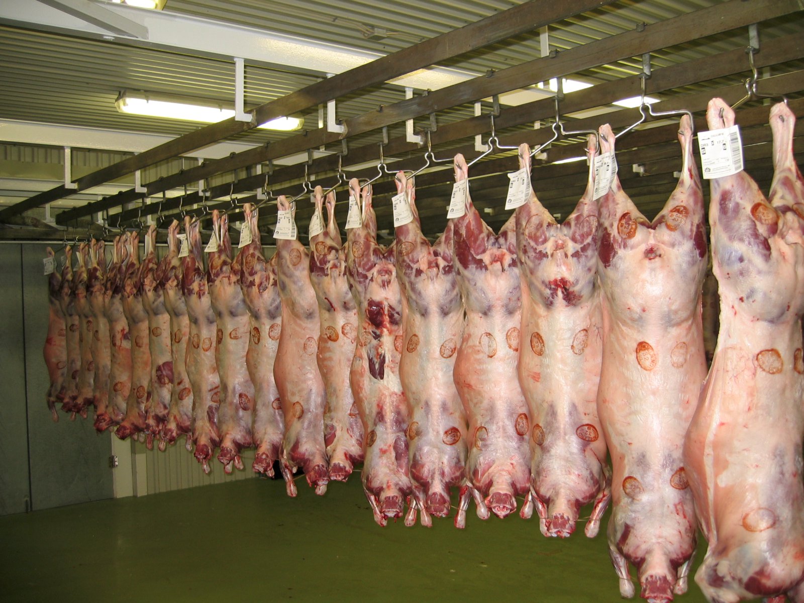 Vill að atvinnuveganefnd ræði lækkun á afurðaverði til sauðfjárbænda