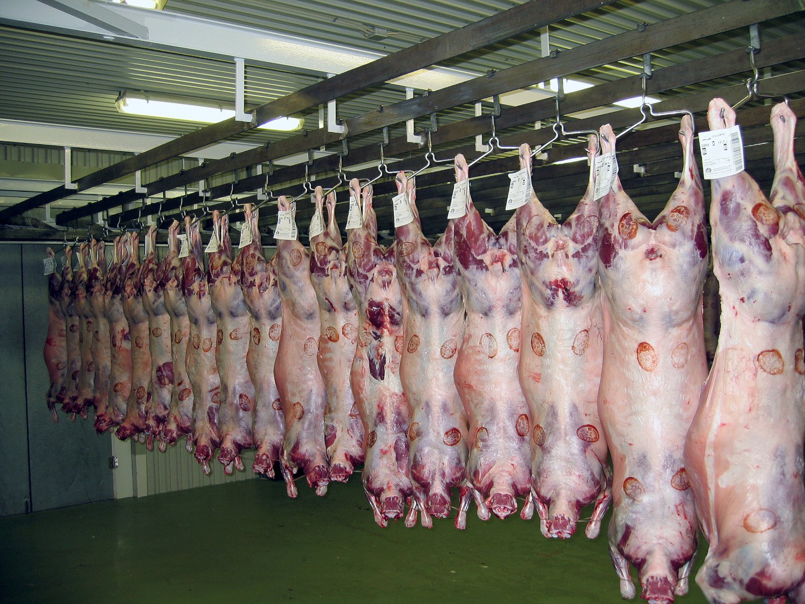 Góðar afurðir sauðfjár á árinu 2018