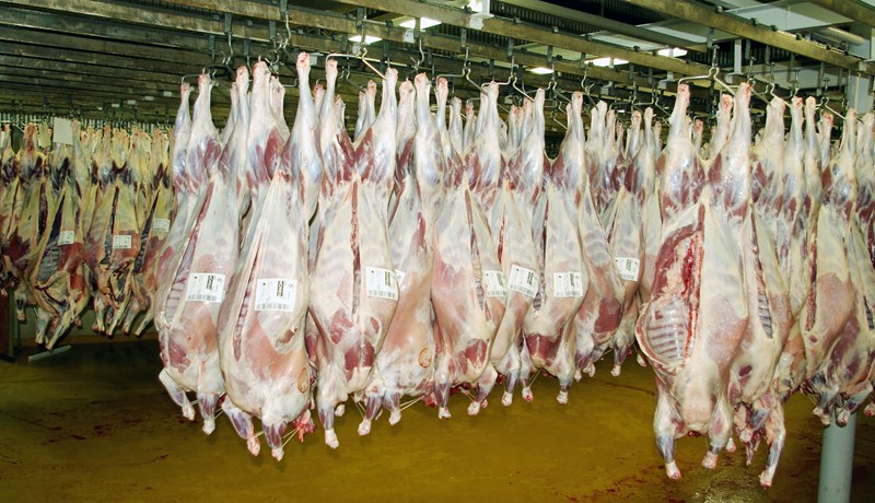 Áhyggjur af mönnun sláturhúsanna í haust