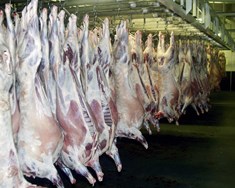 ESA kallar eftir frekari úrbótum