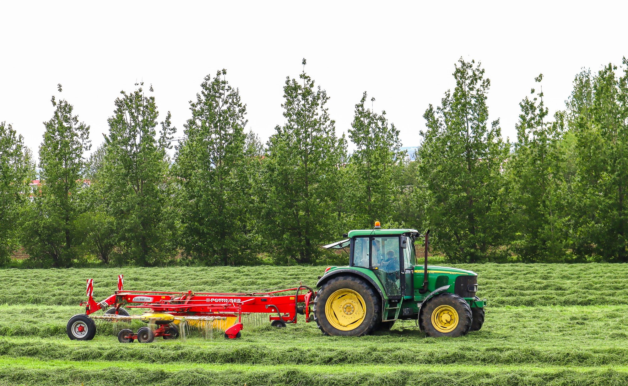 Bændur bera ljá í gras