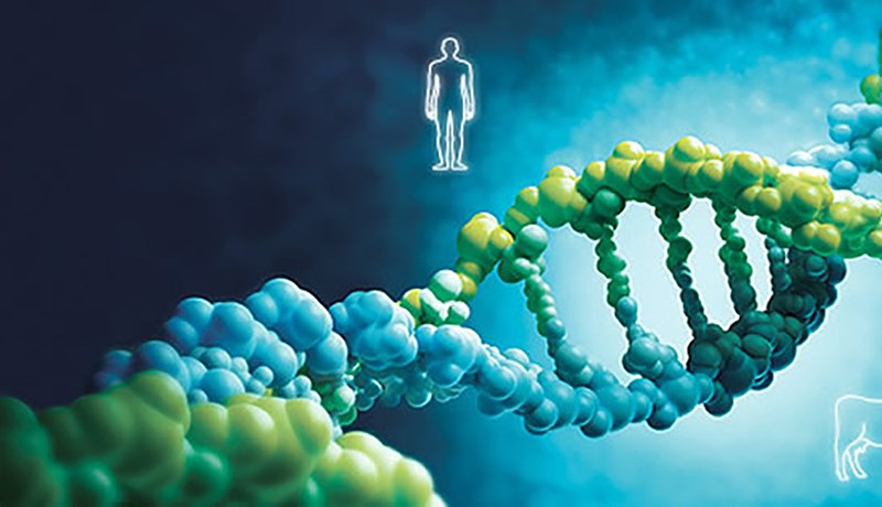 Unnið hörðum höndum að samruna efnarisanna Bayer og Monsanto