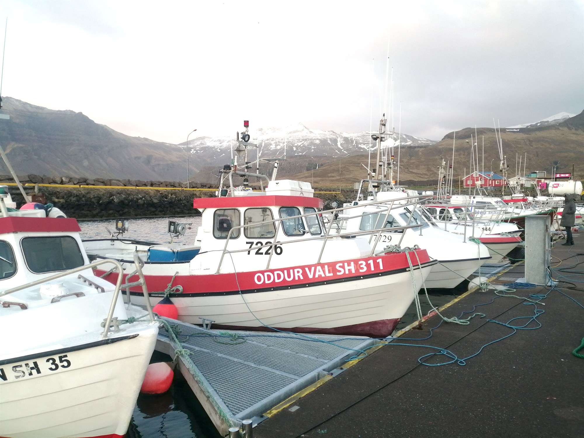 Kúabændur, bifvélavirkjar og trillukarlar