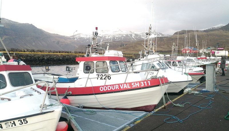 Kúabændur, bifvélavirkjar og trillukarlar