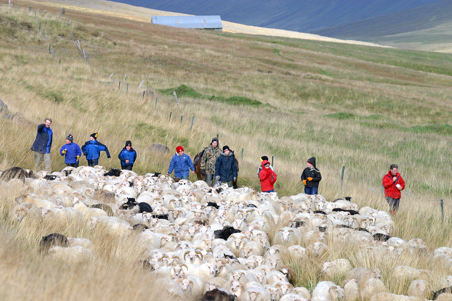 Endurnýjun innan bændastéttarinnar forsenda fæðuöryggis
